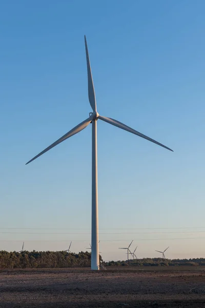 Wind Turbine Electric Power Production Energy Saving Concept — 图库照片