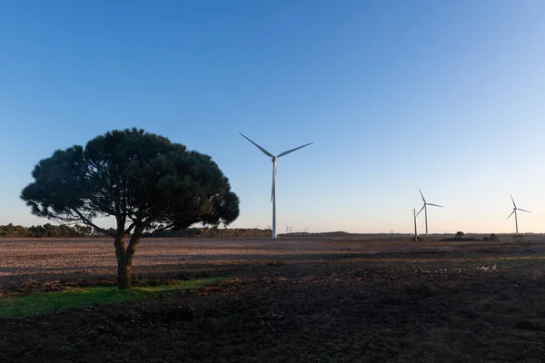 Windkraftanlage Zur Stromerzeugung Energiesparkonzept — Stockfoto