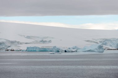 Buzullu ve dağlı Antarktika plajı, keşif gemisinden manzara