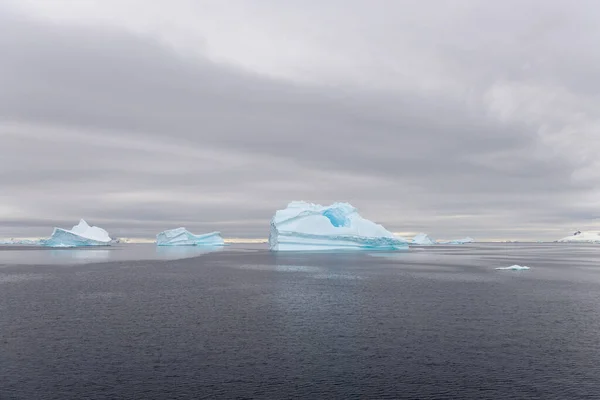 有冰山的南极景观 从远征船看到 — 图库照片