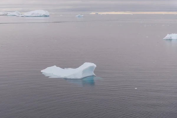 Paisagem Antártica Com Gelo Mar Vista Navio Expedição — Fotografia de Stock