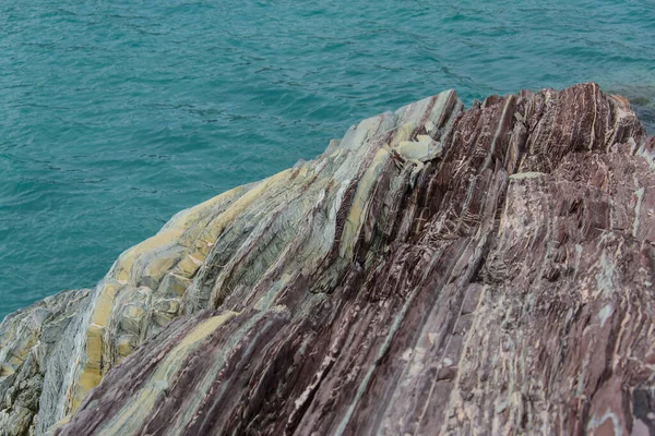Πολύχρωμοι Βράχοι Στην Ανατολική Γροιλανδία Κλείνουν Πέτρα — Φωτογραφία Αρχείου