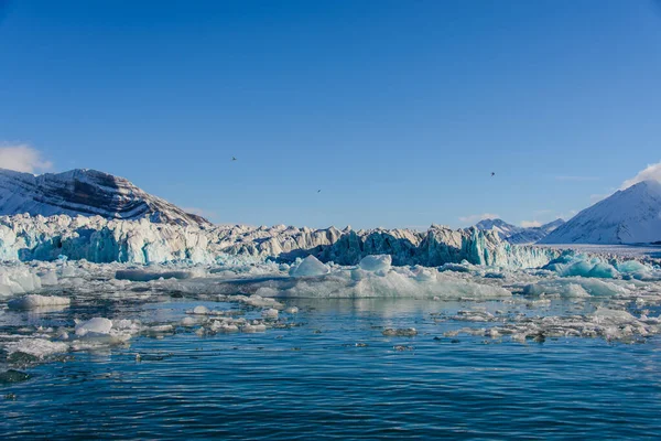 Landschap Met Gletsjer Spitsbergen Zomer Zonnig Weer — Stockfoto