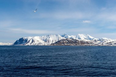 Yaz mevsiminde Svalbard 'da dağ ve buzullarla kutup manzarası