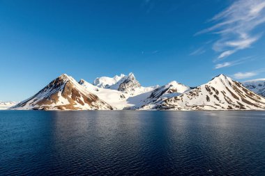Gündüz vakti Svalbard 'da dağlı kutup manzarası
