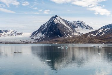Yaz mevsiminde Svalbard 'da dağ ve buzullarla kutup manzarası