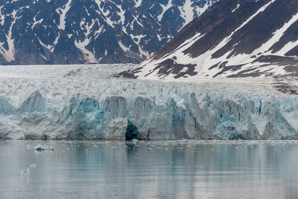 Ledovec Svalbardu Arktida Pohled Výletní Lodi — Stock fotografie