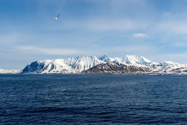 Arktická Krajina Horami Ledovcem Špicberku Letním Období — Stock fotografie