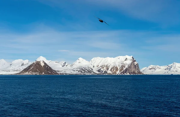 Paisaje Ártico Con Montaña Svalbard Durante Día — Foto de Stock