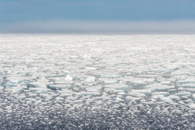 Kuzey Kutup Bölgesi - buz kütlesi ile deniz yüzeyi