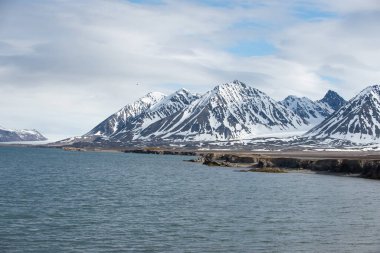 Norveç, Svalbard 'da deniz ve dağlarla kutup manzarası