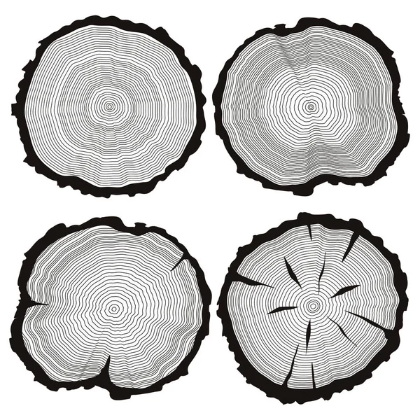 Conjunto de anillos de árbol vectorial, concepto de tronco de árbol cortado por sierra, iconos planos de aserradero, ilusión de textura de madera aislada sobre fondo blanco . — Vector de stock