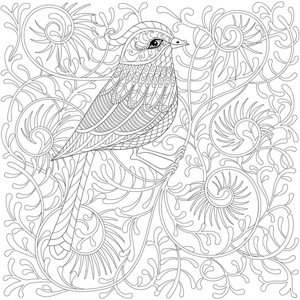 Vector zentangle Bird. Colibrí exótico y tropical de dibujos animados en rama en estilo garabato estampado. Bosquejo dibujado a mano para adultos libro de página para colorear antiestrés, impresión de camiseta, tatuaje, logotipo de arte . — Vector de stock