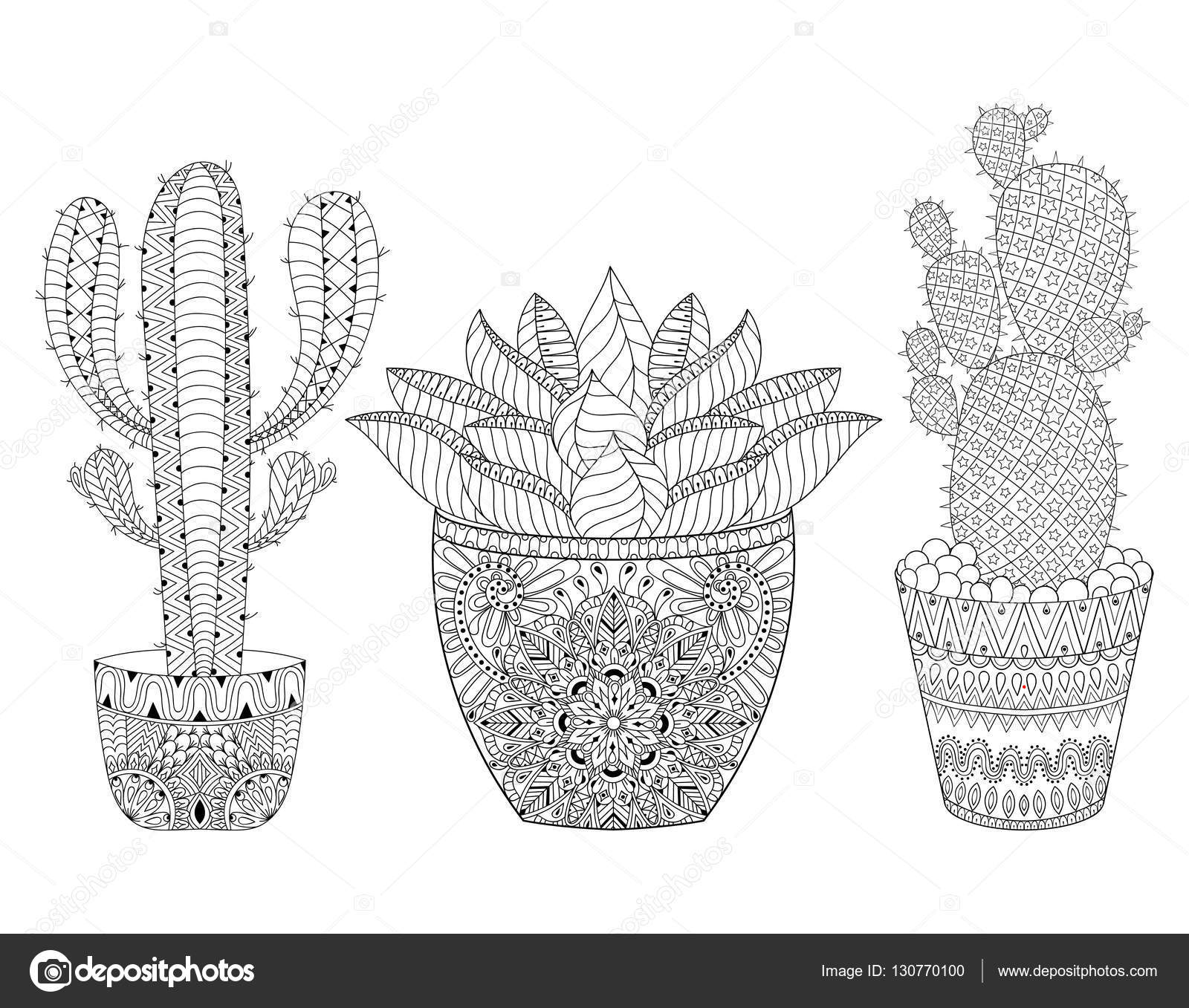 Conjunto de objectos decorativos com desenho de cactos e penas em