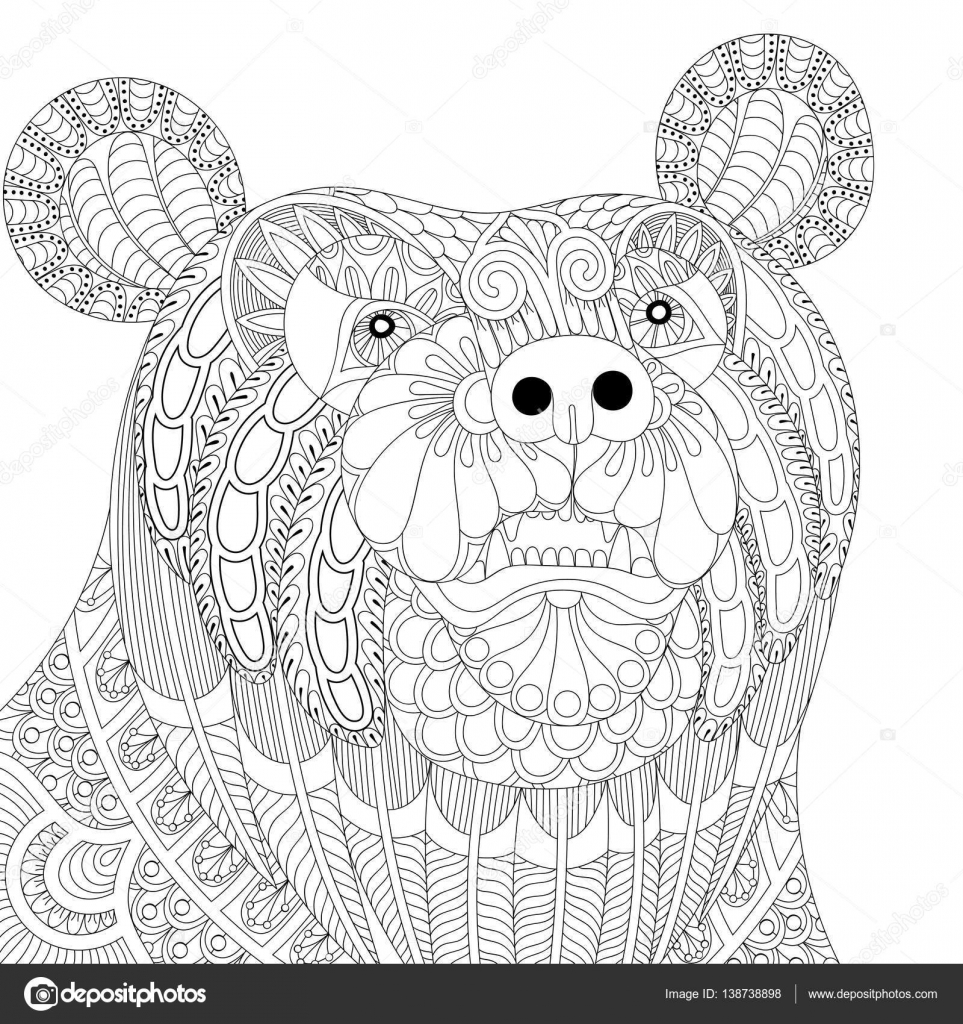 Vector zentangle bear head for adult anti stress coloring pages ...