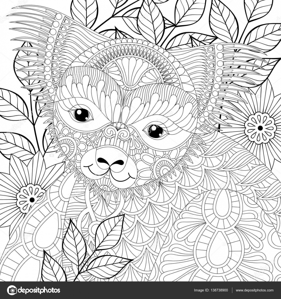 coloriage anti stress koala