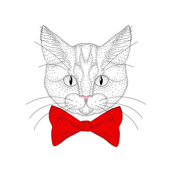 Vector schattige kat portret. Hand getekende hipster kitty hoofd met rood — Stockvector