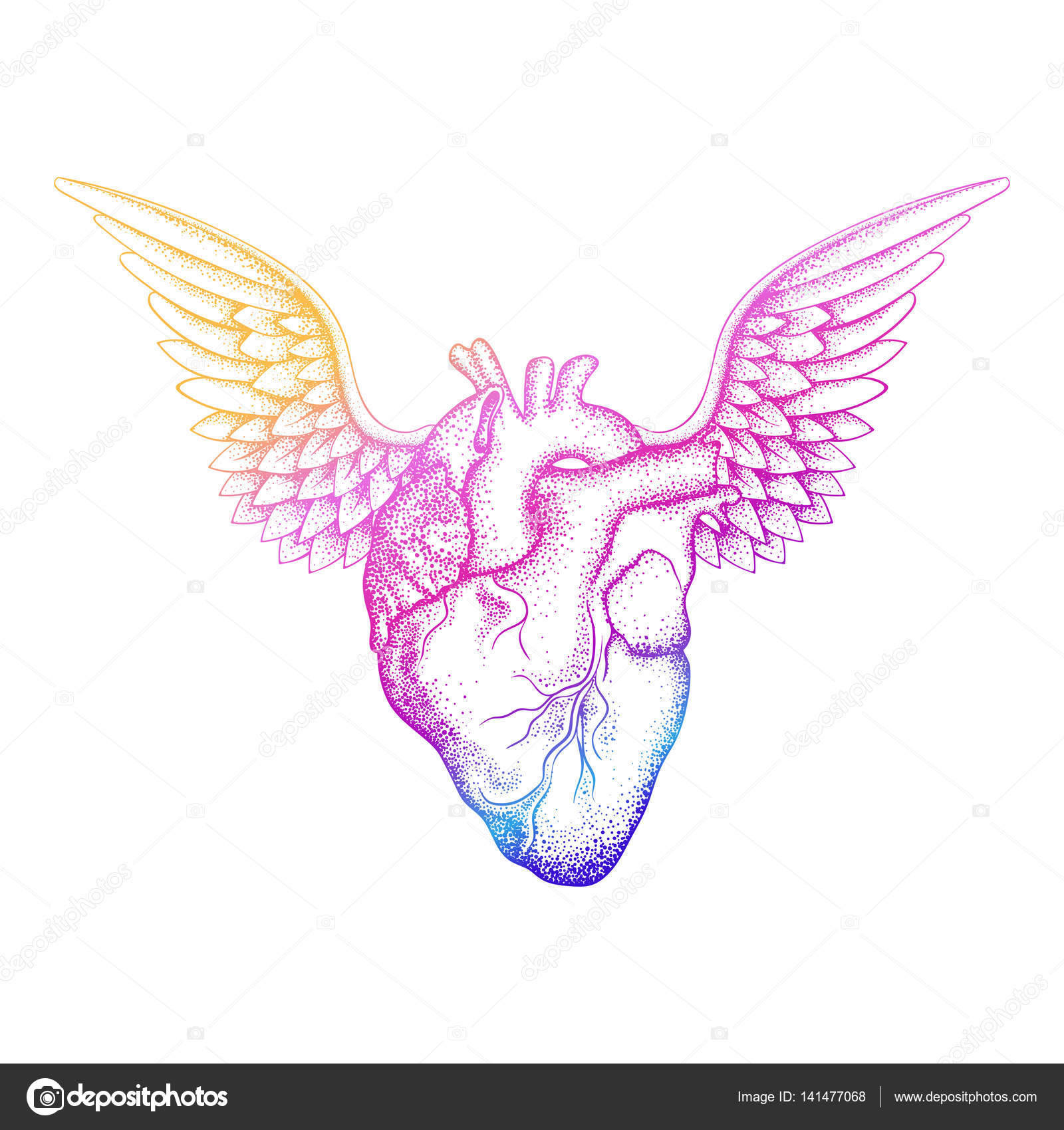 Realistisches Menschenherz mit Flügeln für Valentinskarten Stock-Vektorbild  von ©i_panki 141477068, image size:963x1024