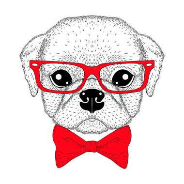 Papyon, hipster gözlük ile şirin pug çocuk portre. Elle çizilmiş 