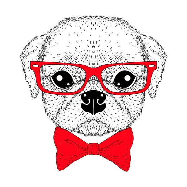 Lindo retrato de chico pug con pajarita, gafas hipster. Dibujado a mano — Vector de stock