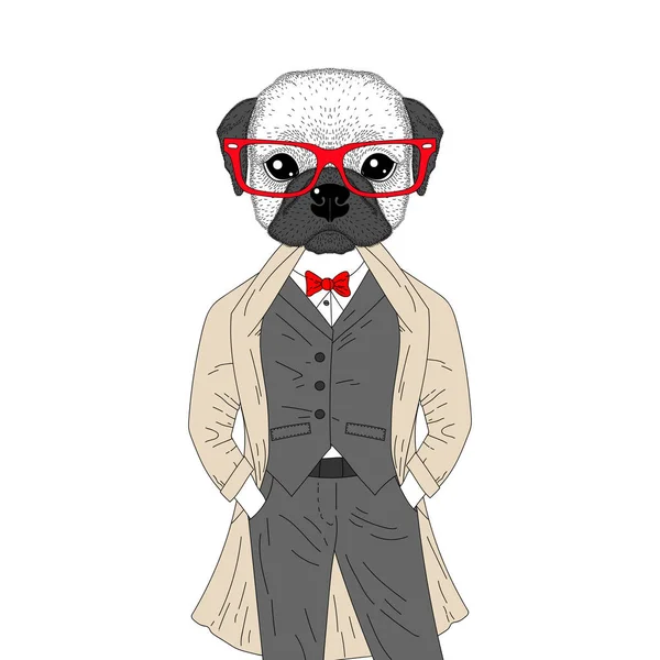 Vector brutal bulldog francés en elegante traje clásico con abrigo . — Vector de stock