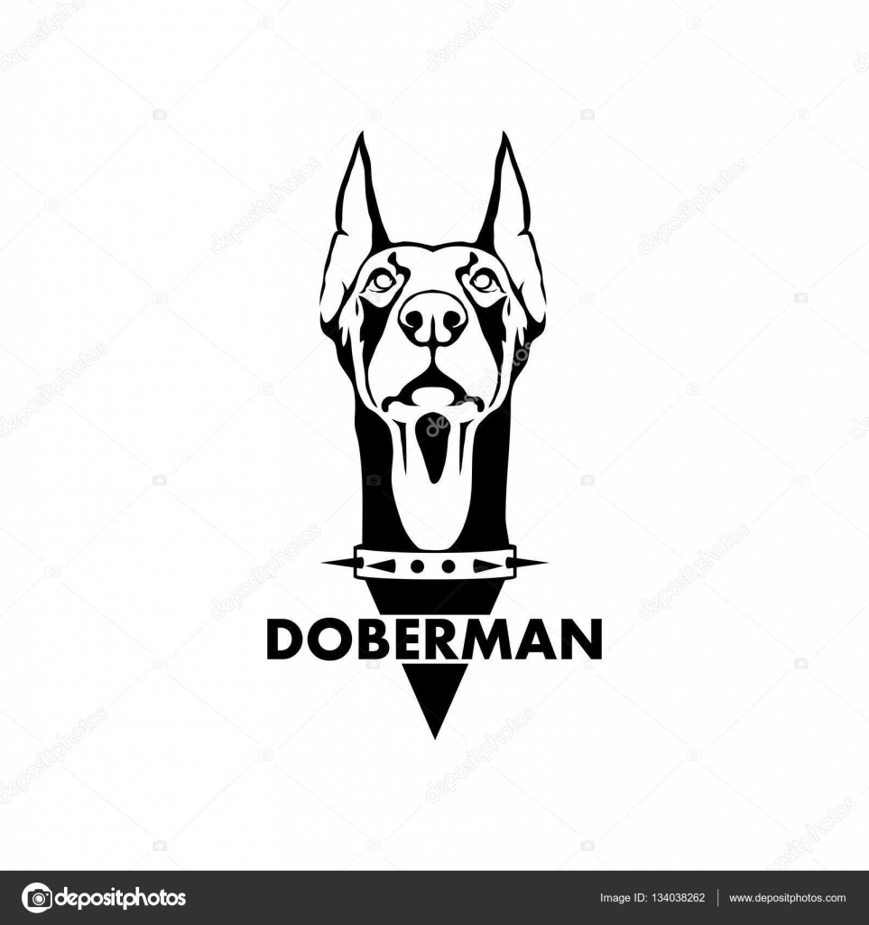 Doberman logo | Doberman, Doberman pinscher dog, Dog logo design