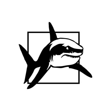 köpekbalığı kare logolu