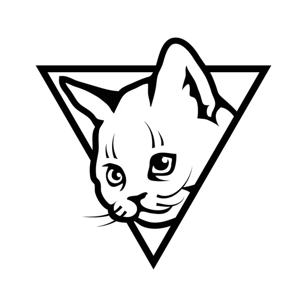 Cat head in triangle — Stock Vector