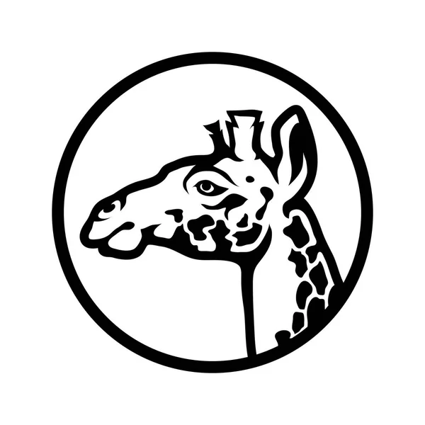 Giraffenkopf im Kreis — Stockvektor