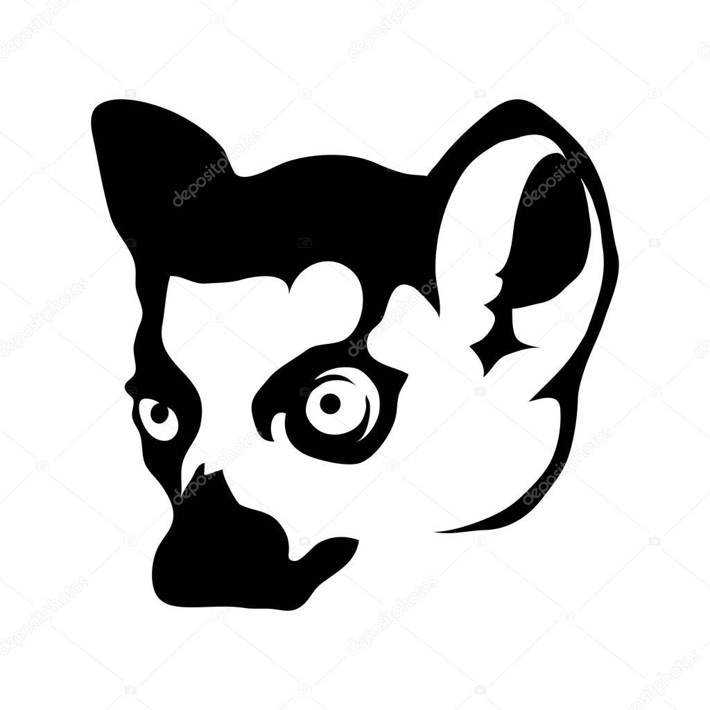 Lemur head Logo, vector illustration