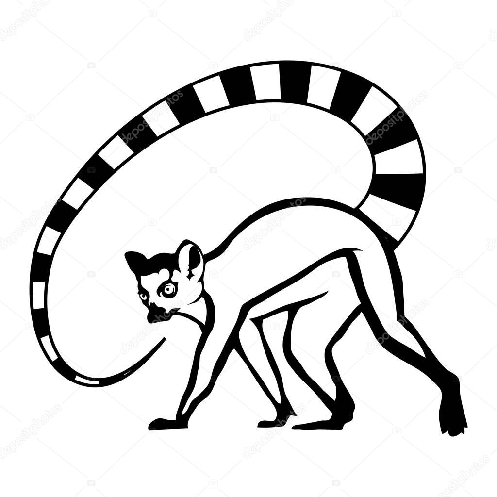 Lemur animal Logo, vector illustration