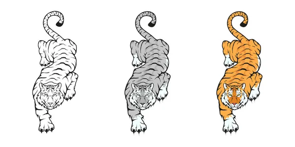 Logotypen för vild tiger — Stock vektor