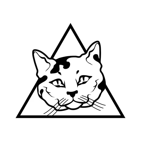 Cat logo, ilustrace — Stockový vektor