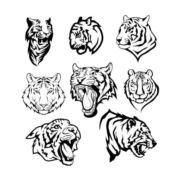 Tigers set, isolated on white background — Stock Vector