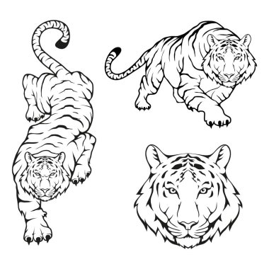 Tiger Logo şablonu