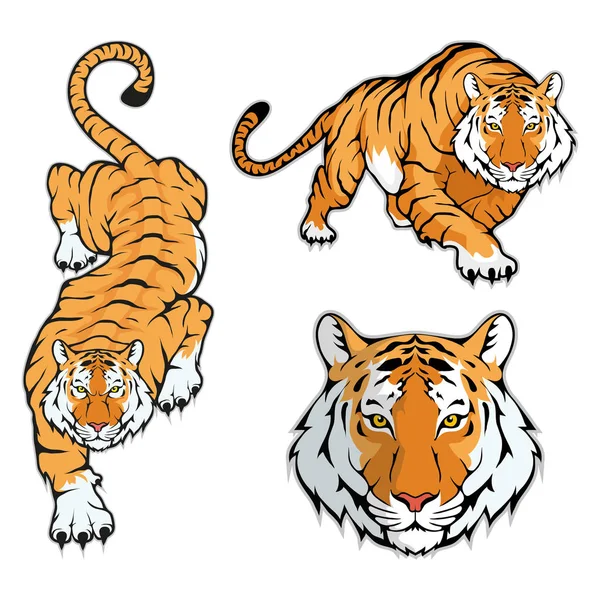 Modelo do logotipo do tigre — Vetor de Stock