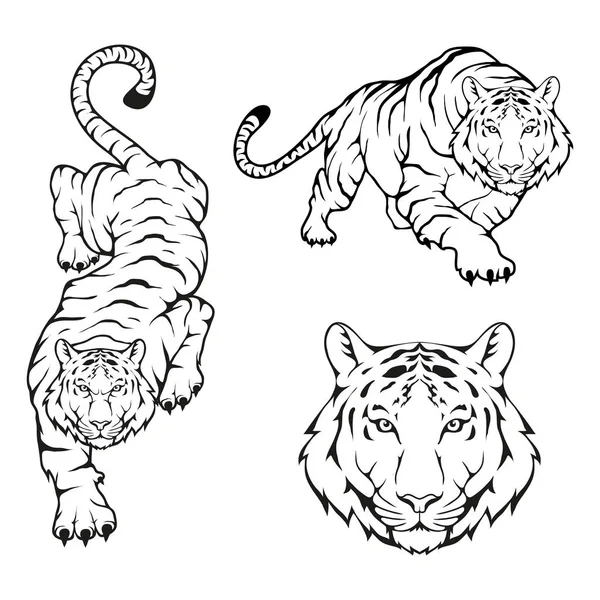 Тигр шаблон логотип — стоковий вектор