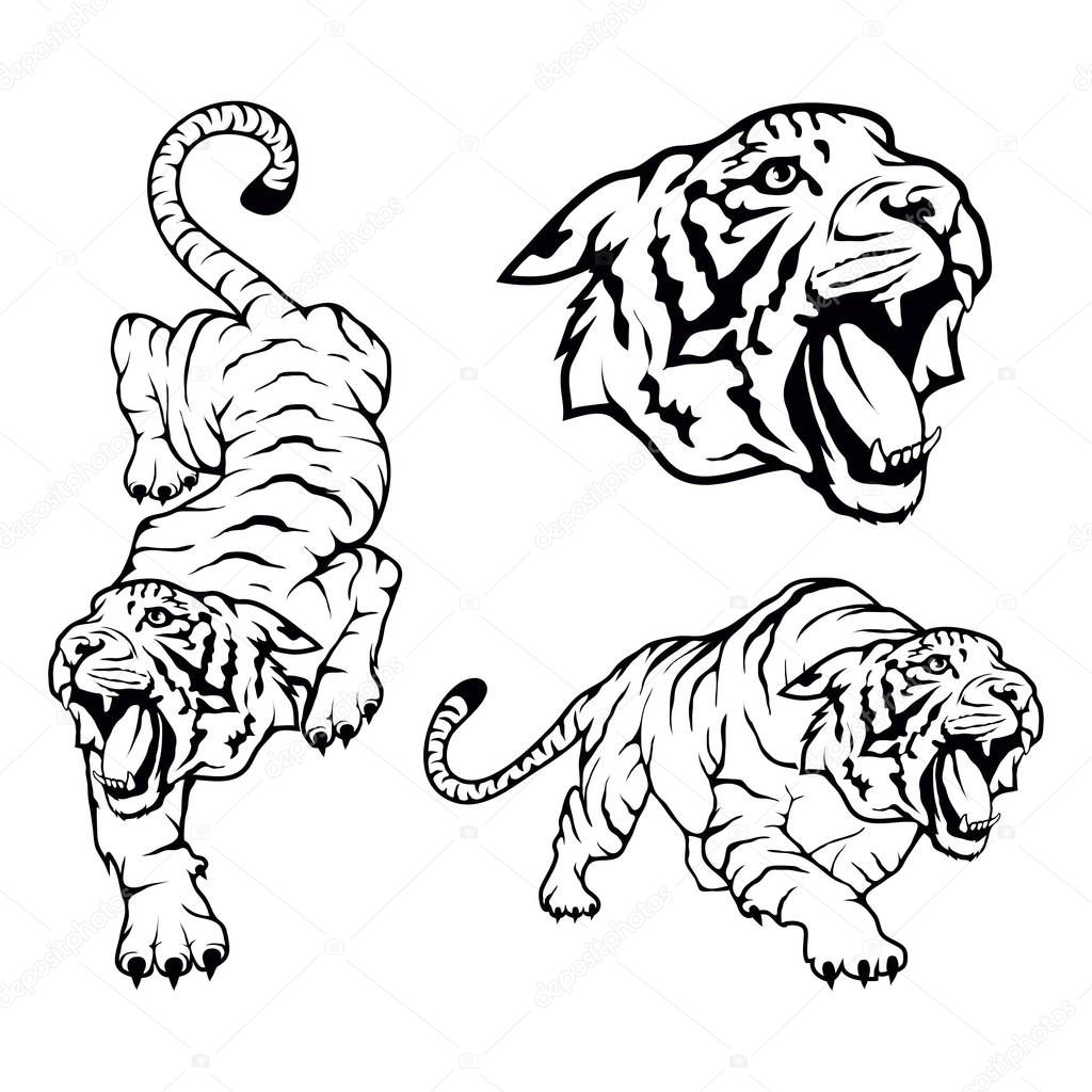 Tiger logo template, vector illustration