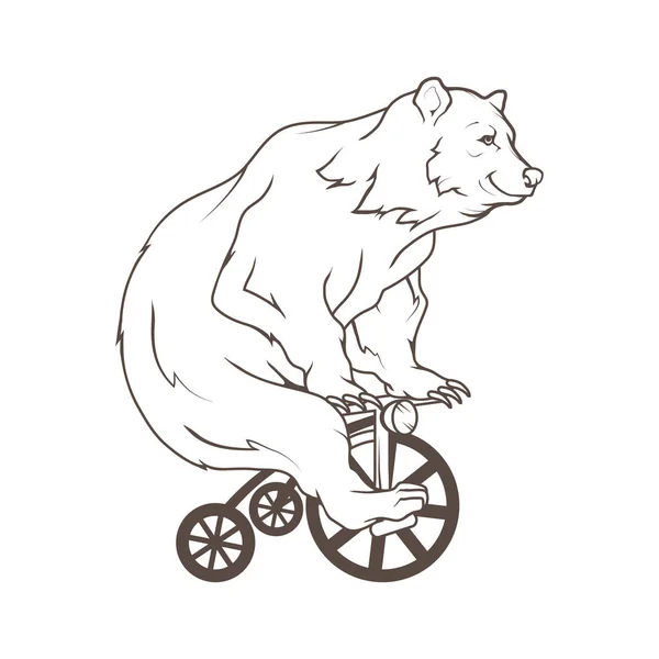 Bear on bycicle logo,  illustration — Stock Vector