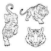 Tygr Logo šablona