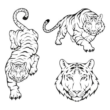 Tiger Logo şablonu