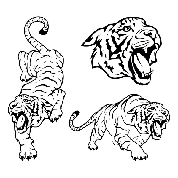 Modello logo tigre — Vettoriale Stock