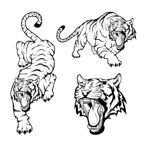 Modello logo tigre — Vettoriale Stock