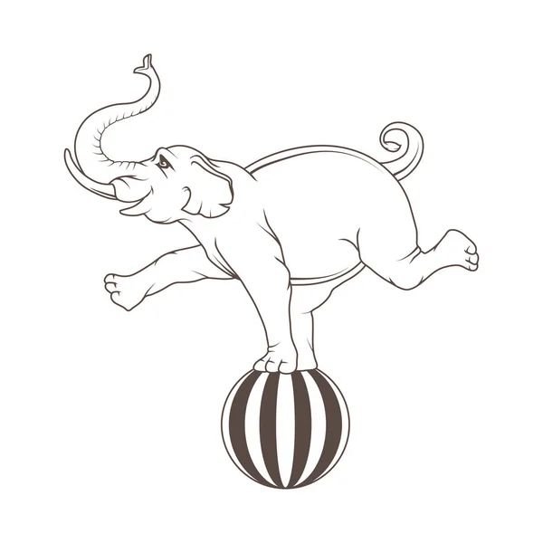 Circo elefante logotipo ilustración — Archivo Imágenes Vectoriales
