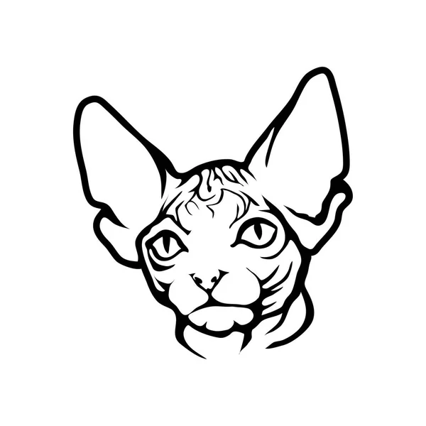 Katzenlogo, Illustration — Stockvektor