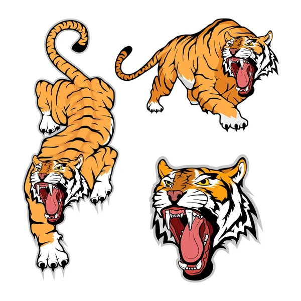 Tiger Logo şablonu Telifsiz Stok Illüstrasyonlar