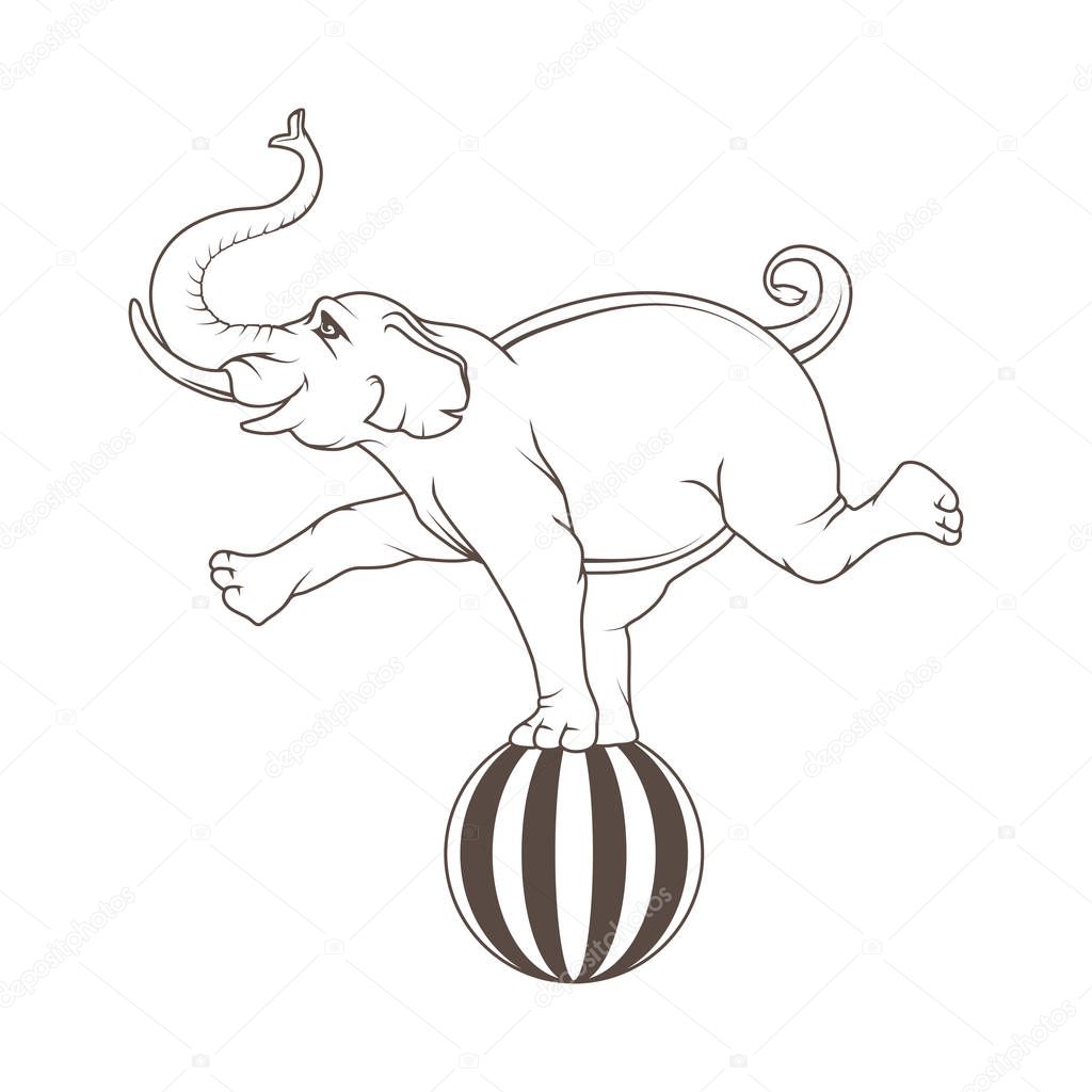 Circus elephant logo vector illustration