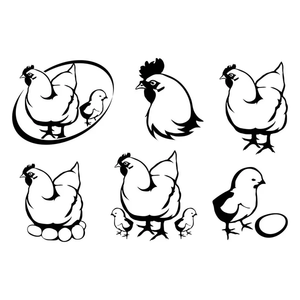 Uppsättning av kyckling logotyper — Stock vektor