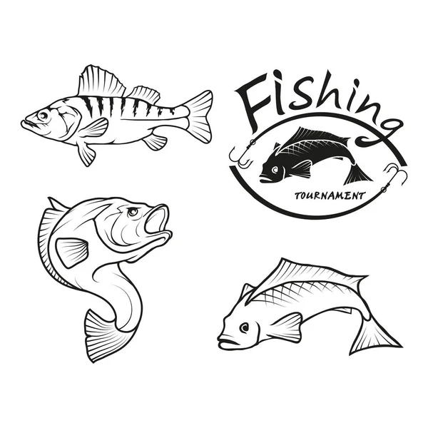 Logos de pescado fresco — Vector de stock