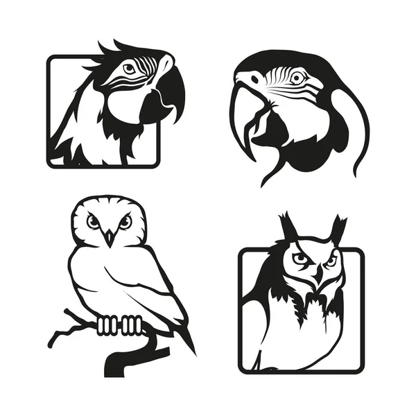 Set of parrot and owl logos — Stock Vector